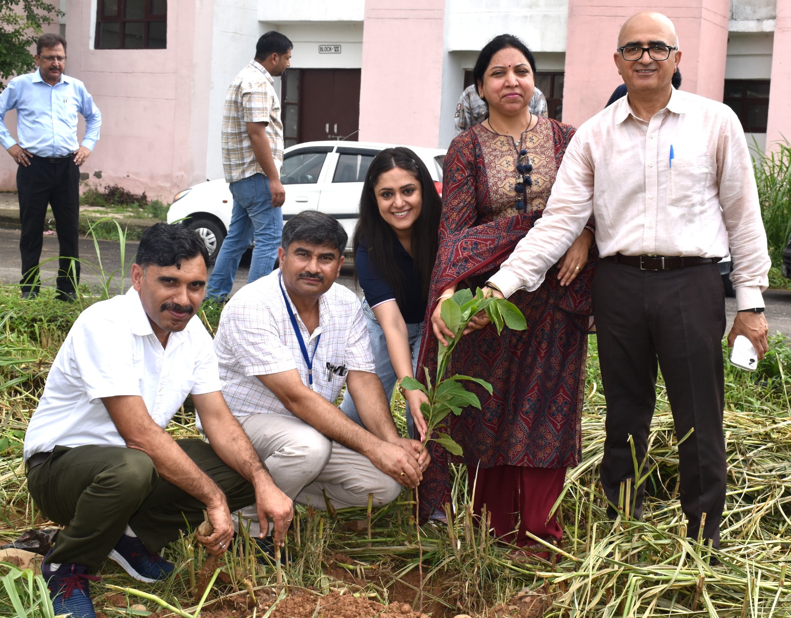 Plantation Drive